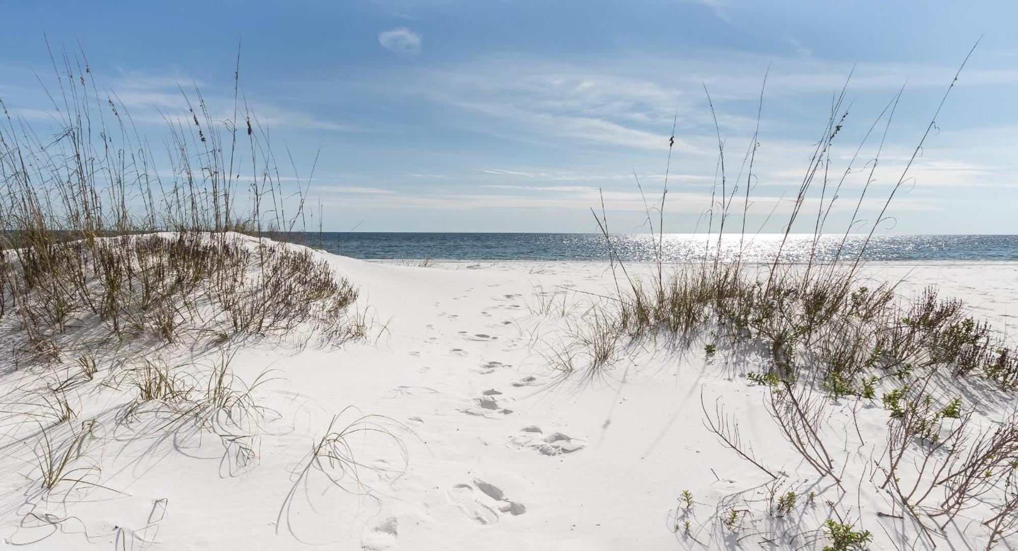 Nautilus 1201 - Gulf Front 2 Bedroom Huge Wrap Around Balcony 2Nd Floor! Fort Walton Beach Exteriér fotografie