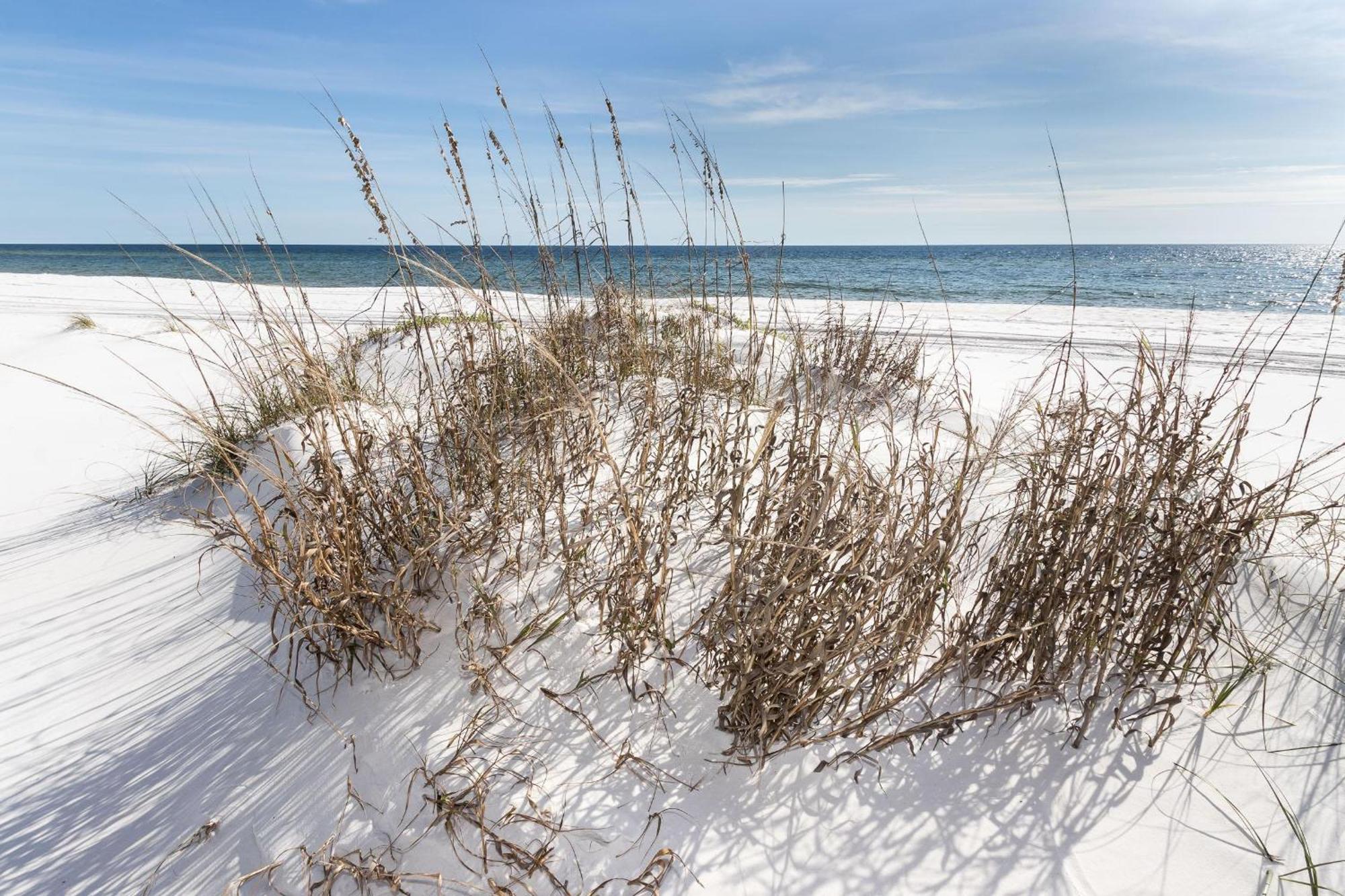 Nautilus 1201 - Gulf Front 2 Bedroom Huge Wrap Around Balcony 2Nd Floor! Fort Walton Beach Exteriér fotografie