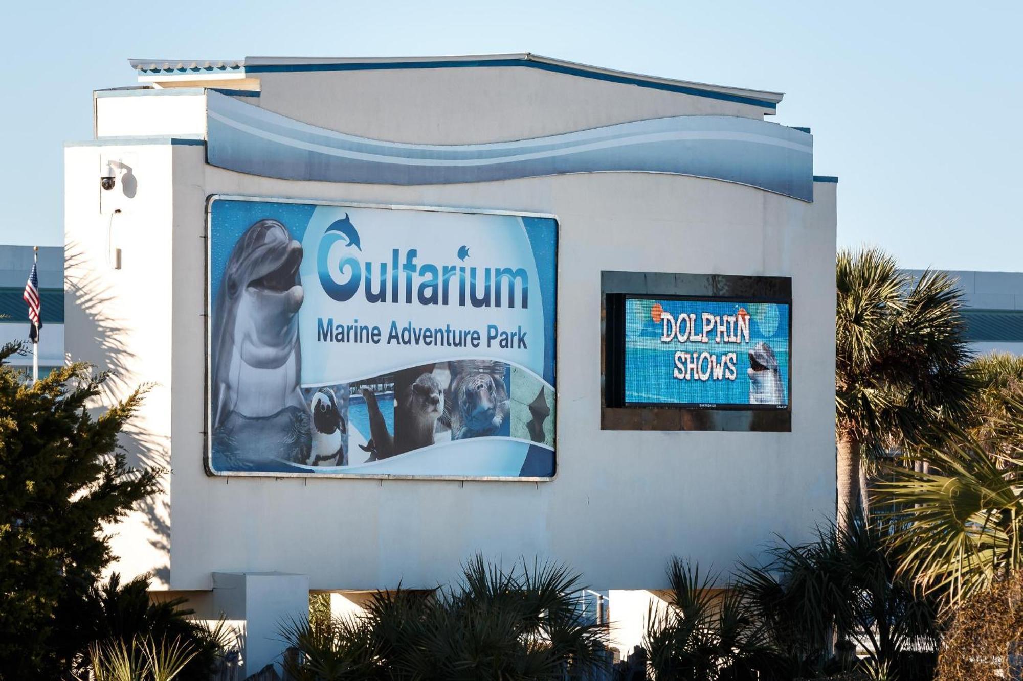 Nautilus 1201 - Gulf Front 2 Bedroom Huge Wrap Around Balcony 2Nd Floor! Fort Walton Beach Exteriér fotografie